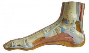 ta-podia-stirizoun-e-podi-picture-01