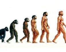 ΟΡΘΙΑ ΒΑΔΙΣΗ