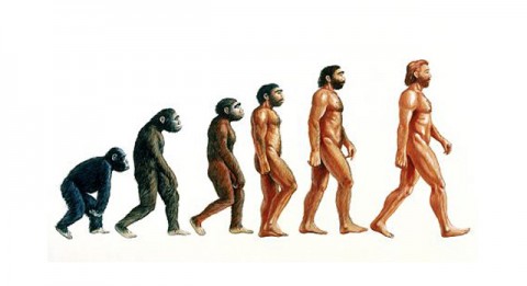 ΟΡΘΙΑ ΒΑΔΙΣΗ