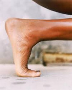 diokste-ton-pono-se-30-e-podi-picture-02