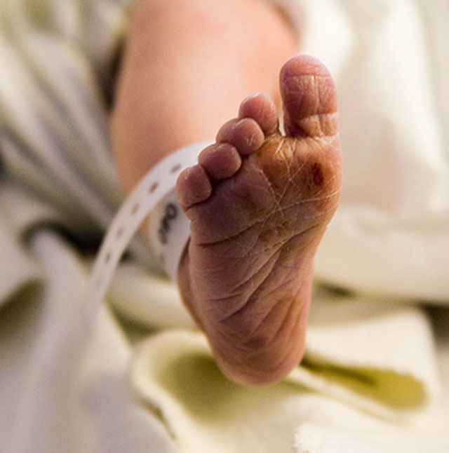 fotografies-pou-tha-latrepsete-e-podi-picture-05