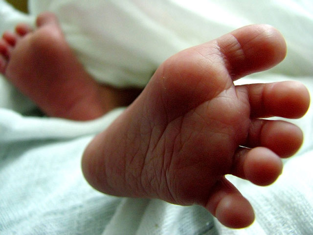 fotografies-pou-tha-latrepsete-e-podi-picture-10