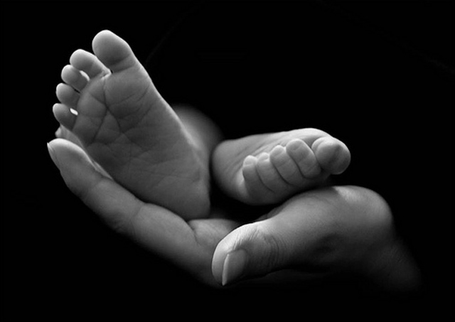 fotografies-pou-tha-latrpsete-e-podi-picture-00