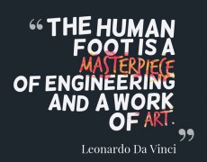 ΕΚΦΡΑΣΕΙΣ ΚΑΙ ΠΑΡΟΙΜΙΕΣ ΜΕ ΠΟΔΑΡΙΑ!