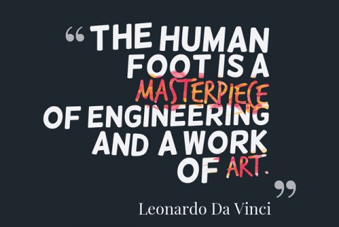 ΕΚΦΡΑΣΕΙΣ ΚΑΙ ΠΑΡΟΙΜΙΕΣ ΜΕ ΠΟΔΑΡΙΑ!