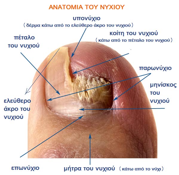 mykitiasi-nyxion-e-podi-picture-02