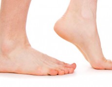 Βασική ανατομία ποδιού και αστραγάλου