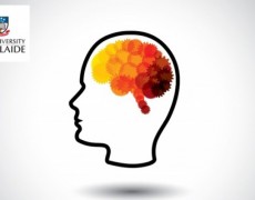 Μόλις 30 λεπτά άσκησης την ημέρα βελτιώνουν την εγκεφαλική λειτουργία