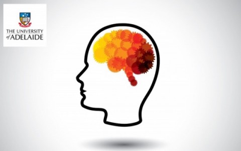 Μόλις 30 λεπτά άσκησης την ημέρα βελτιώνουν την εγκεφαλική λειτουργία